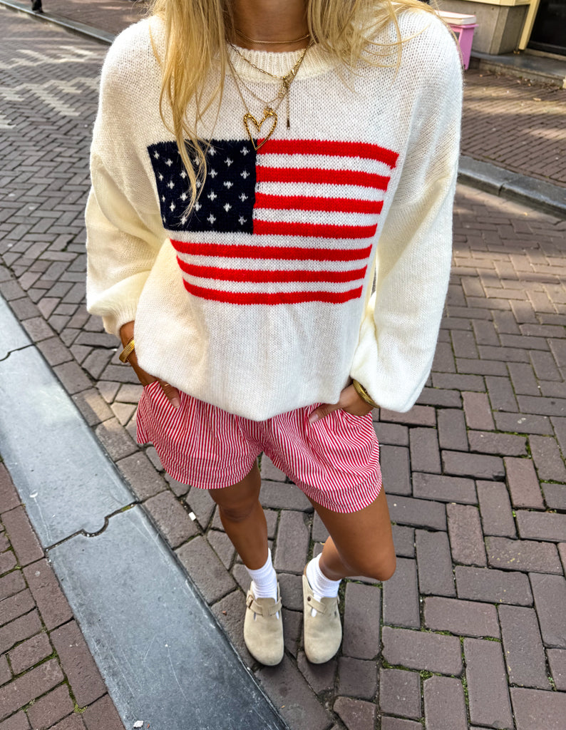 American Flag Sweater White