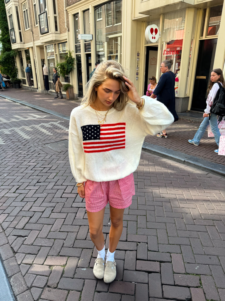 American Flag Sweater White