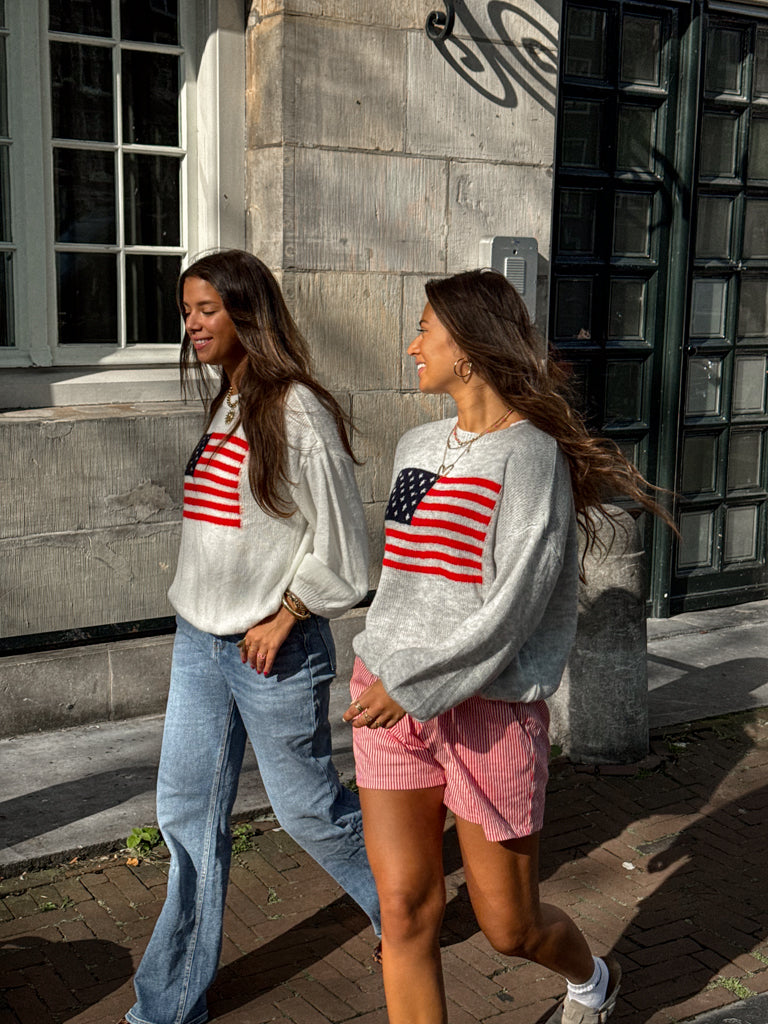 American Flag Sweater Grey