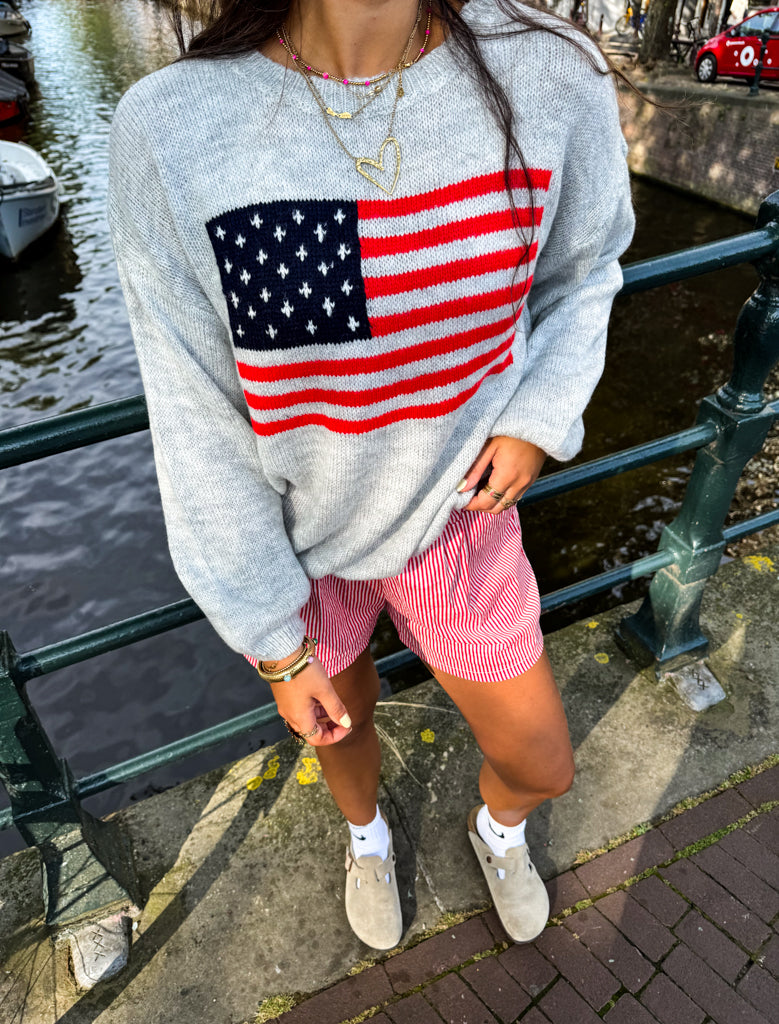 American Flag Sweater Grey