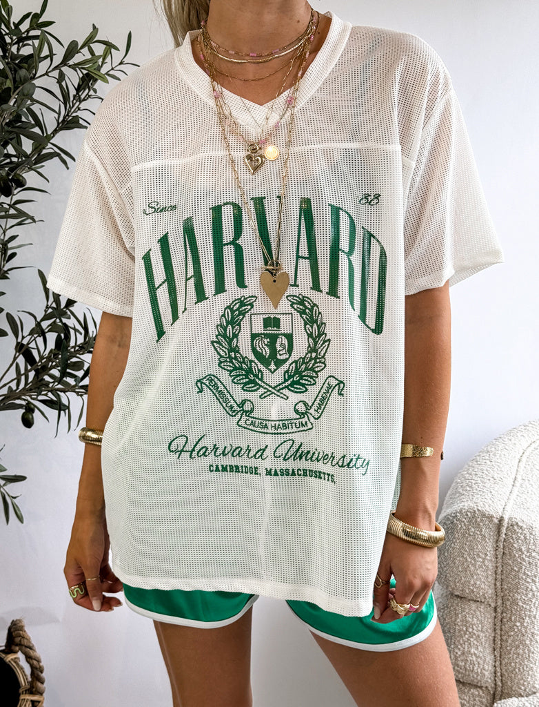 Harvard Shorts Green